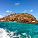 Buck Island - St Croix Things to Do