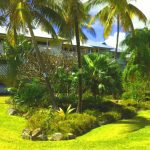 Colony Cove - St Croix Vacation Rentals