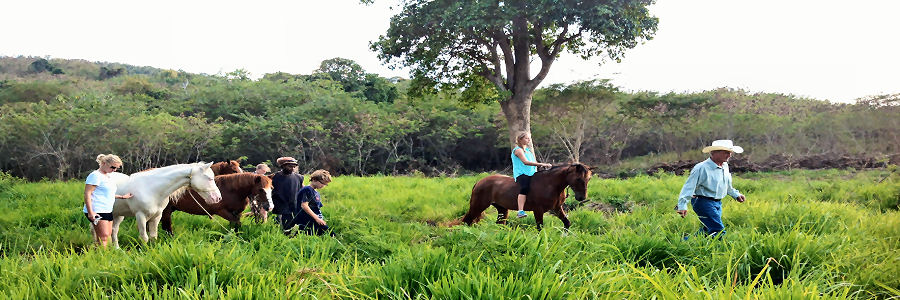 Equus Horseback Riding with Cowboy Steve on St Croix, VI