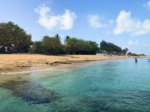 BEACHES - DORSCH